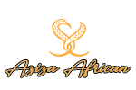 Aziza African Hair Braiding